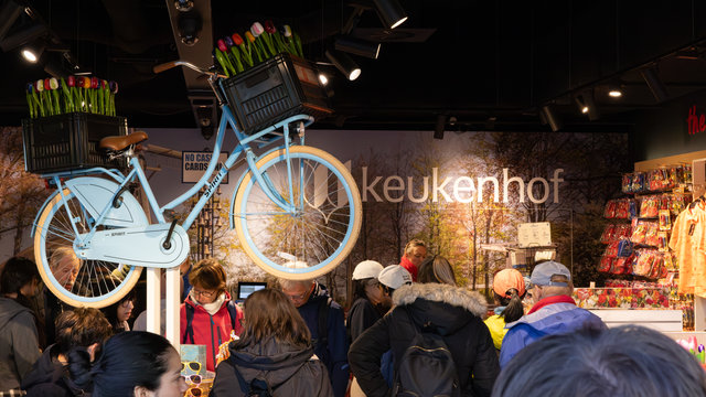 Amsterdam mama 2026-5133.jpg